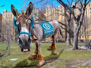 Presidential Podcast: Trump gaat voor de knock-out