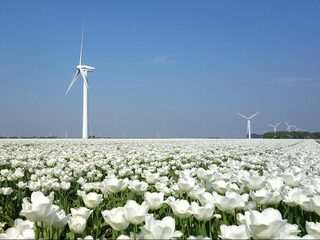 'Ons landschap wordt ‘hagelslag’ als we niets doen!'