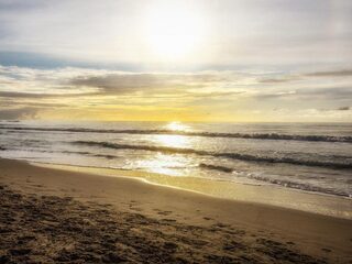 2,4 miljoen voor groene stranden: laat dat wier maar liggen