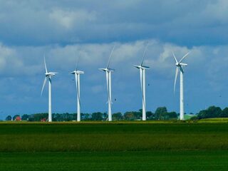 'Ik kan het woord klimaat niet meer horen'