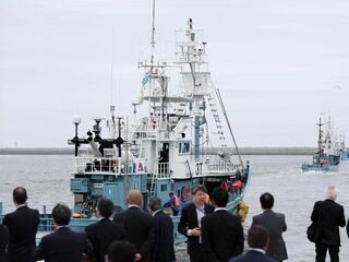 Japan na 31 jaar weer begonnen met commerciële walvisjacht