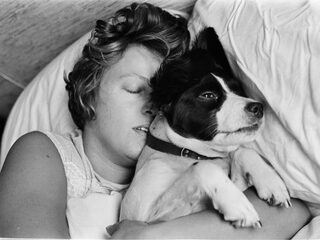 'Niks mis met slapen met je hond of kat in bed'