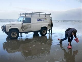 270 containers overboord geslagen bij Wadden, sommige met giftige stof