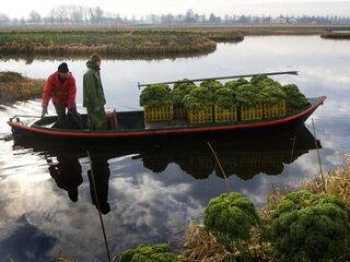 Nederland is een goudmijn voor lekker eten en mooie producten