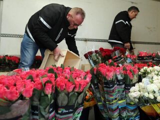 Het gaat weer beter met de planten- en bloemensector