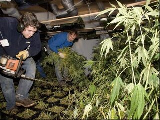 Vandaag op NPO Radio 1: Oplossing gezocht voor drugsoverlast en eredivisie