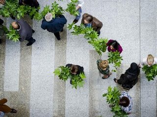 Feit of Fictie: 'Werknemers creatiever en productiever in kantoor vol planten'