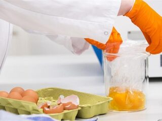 'Communicatiesector is gebaat bij eierenschandaal'