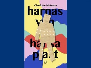 Een indrukwekkend (zelf)portret in Harnas van Hansaplast