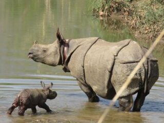 Nederlanders winnen internationale natuurprijs