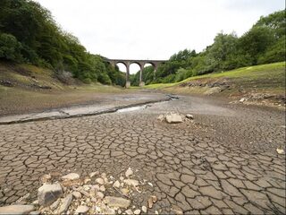 Droogte in de landen om ons heen