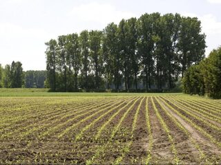 Stad en platteland; een tweeluik over verschillend Nederland