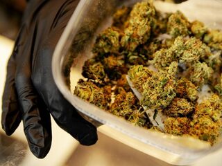 Wie mogen legaal wiet gaan telen?