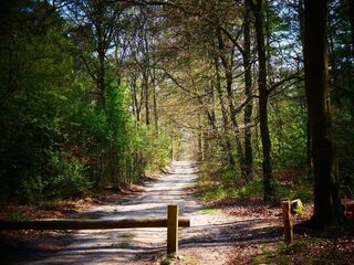 Vandaag 51 jaar geleden werd Rinie Wielheesen op 12-jarige leeftijd vermoord