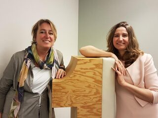 Wat Kamerleden doen als ze acht weken reces hebben