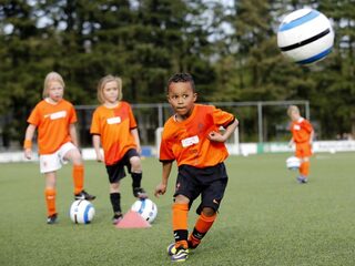 'Herkennen voetbaltalent onder de 12 jaar is een loterij'