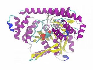 Wetenchap 2020: AlphaFold voorspelt precies hoe eiwitten zich opvouwen