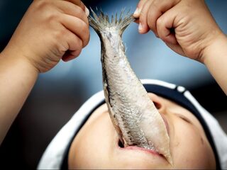 Vissen hebben ook gevoel dus 'ze verdienen meer rechten'