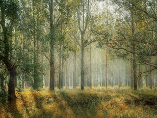 Toerend door Nederland kom je veel bedreigingen tegen