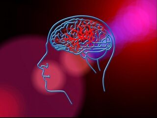 Waarom hechten we zoveel belang aan de hersenwetenschappen?