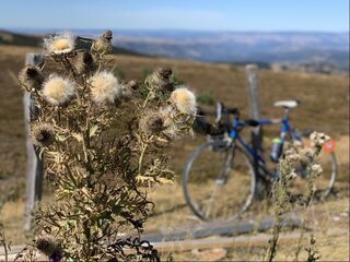 Twee Belgen in niemandsland