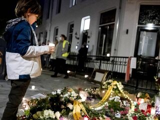 Half jaar cel en werkstraffen voor fatale pedojacht op 73-jarige Arnhemmer