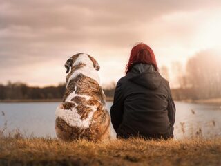 Stand.nl: We zijn doorgeslagen in onze liefde voor dieren