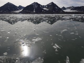 Poolbioloog in tranen: 'Kleinkinderen zullen vragen wie er fout was'
