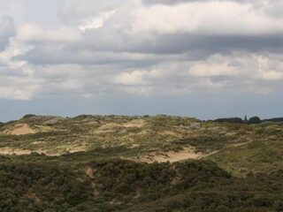 Op zoek naar 5000 soorten in de Hollandse Duinen