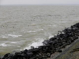 Stijging zeespiegel van 1.80 m deze eeuw niet uitgesloten