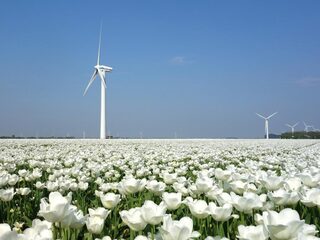 Zorgt de coronacrisis voor schonere lucht?