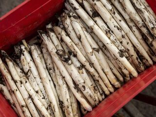 Aspergeteler Corné opende een drive-through: 'Klanten waarderen het en komen terug'