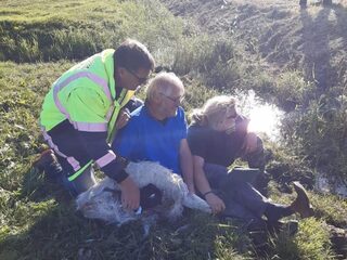 Zo ving Peter Klaver de ontsnapte nandoe langs de N201