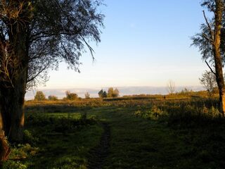 Ga niet vliegen of naar het buitenland: Nederland heeft zoveel moois te bieden