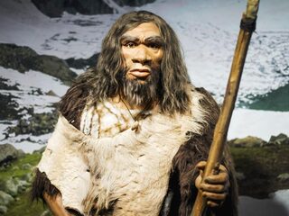 Survival of the friendliest: 'puppygen' maakt mens vriendelijker