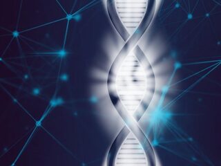 Wetenschappers verdubbelen levensverwachting van zieke muizen