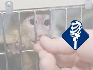 Podcast De Dag: Waarom je geen dieren mee terug moet nemen van vakantie