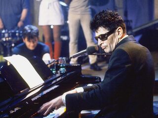 'Herman Brood veranderde het in een masturbatiescène'