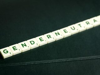 'Genderneutrale taal is mierenneukerij met woorden'