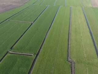 Landelijk en lokaal bestuur ruziën over woningnood, Kamer wil dat Ollongren de provincie Utrecht dwingt woningen te bouwen in de polder