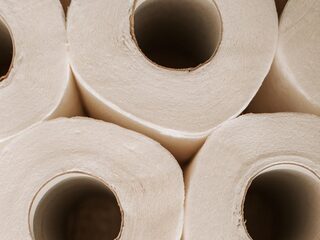 Waar komt ons wc-papier vandaan?