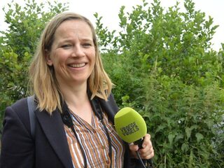 Niemand luistert naar de zanglijster, hoe kan dat nou?