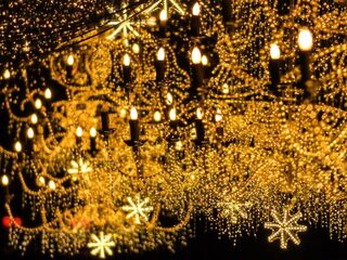 LED-kerstverlichting duurzaam, maar alleen op lange termijn