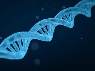 Nobelprijs voor het mechanisme waarmee je de code van het leven kunt herschrijven