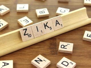 Hersentumor bestrijden met Zika? Helemaal geen gek idee