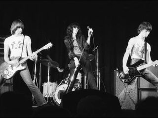 De erfenis van The Ramones