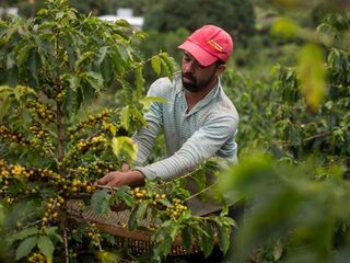 Wat we kunnen leren van Braziliaanse boeren