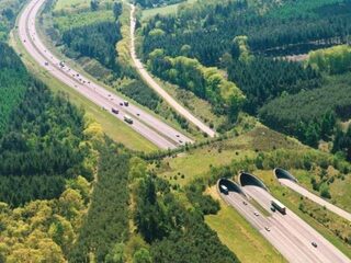 Hoe Nederland natuurgebieden verbindt