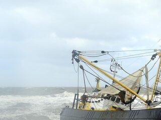 Kustvissers dreigen duurzaamheidslabel te verliezen