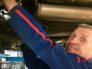 Oprukkende steenmarter afschieten? 'Het is een prachtig dier, koester 'm!'